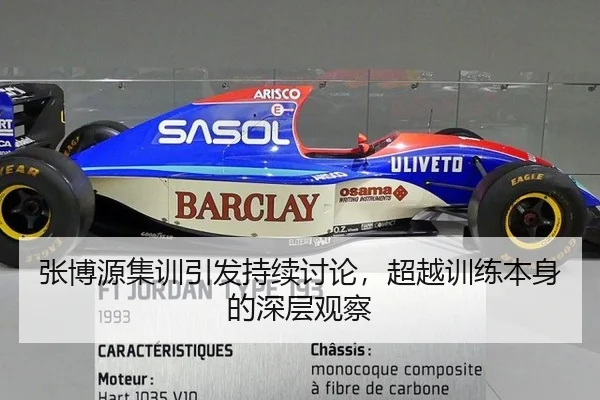 张博源集训引发持续讨论，超越训练本身的深层观察